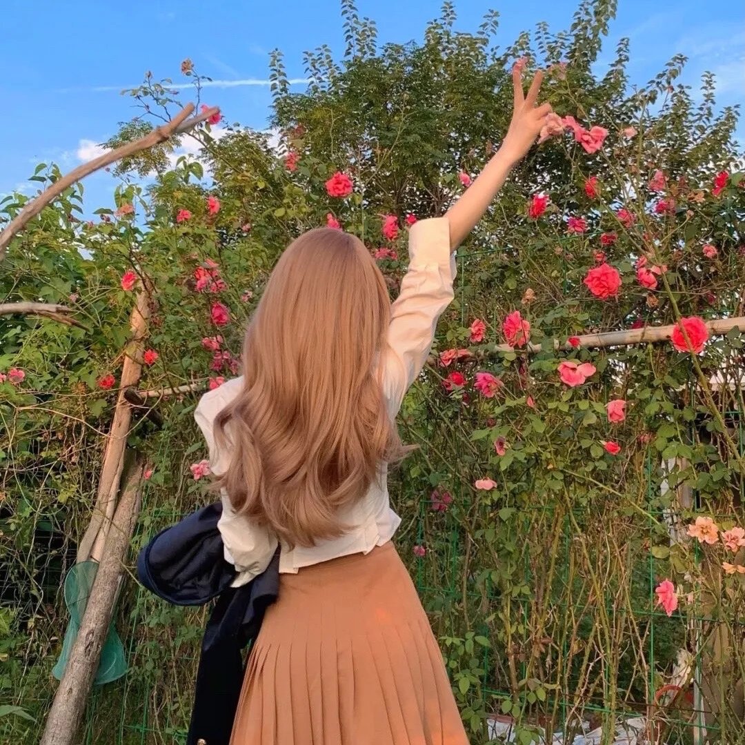 菊花村的那些事